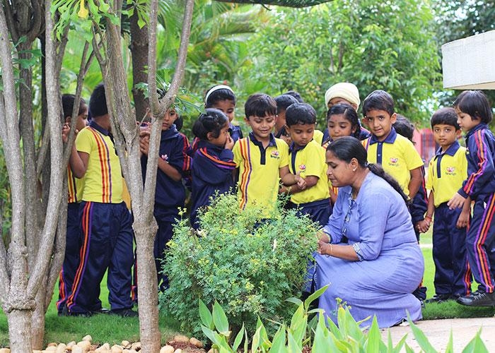 An all-round Perspective to Development