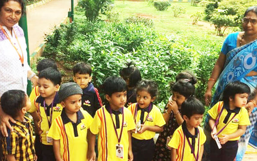 A Child’s Day Out